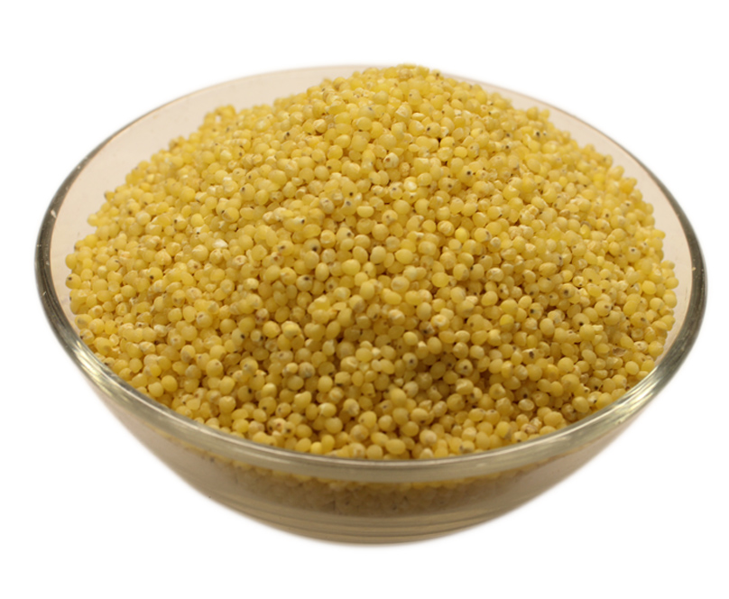 Buy White Millet Seeds Hulled Seeds