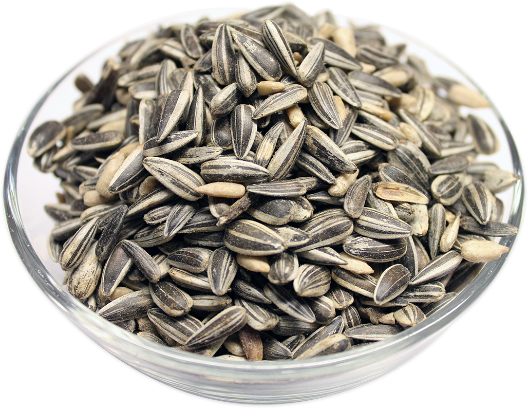 Wholesale Supplier of Seeds & Grains online in bulk UK