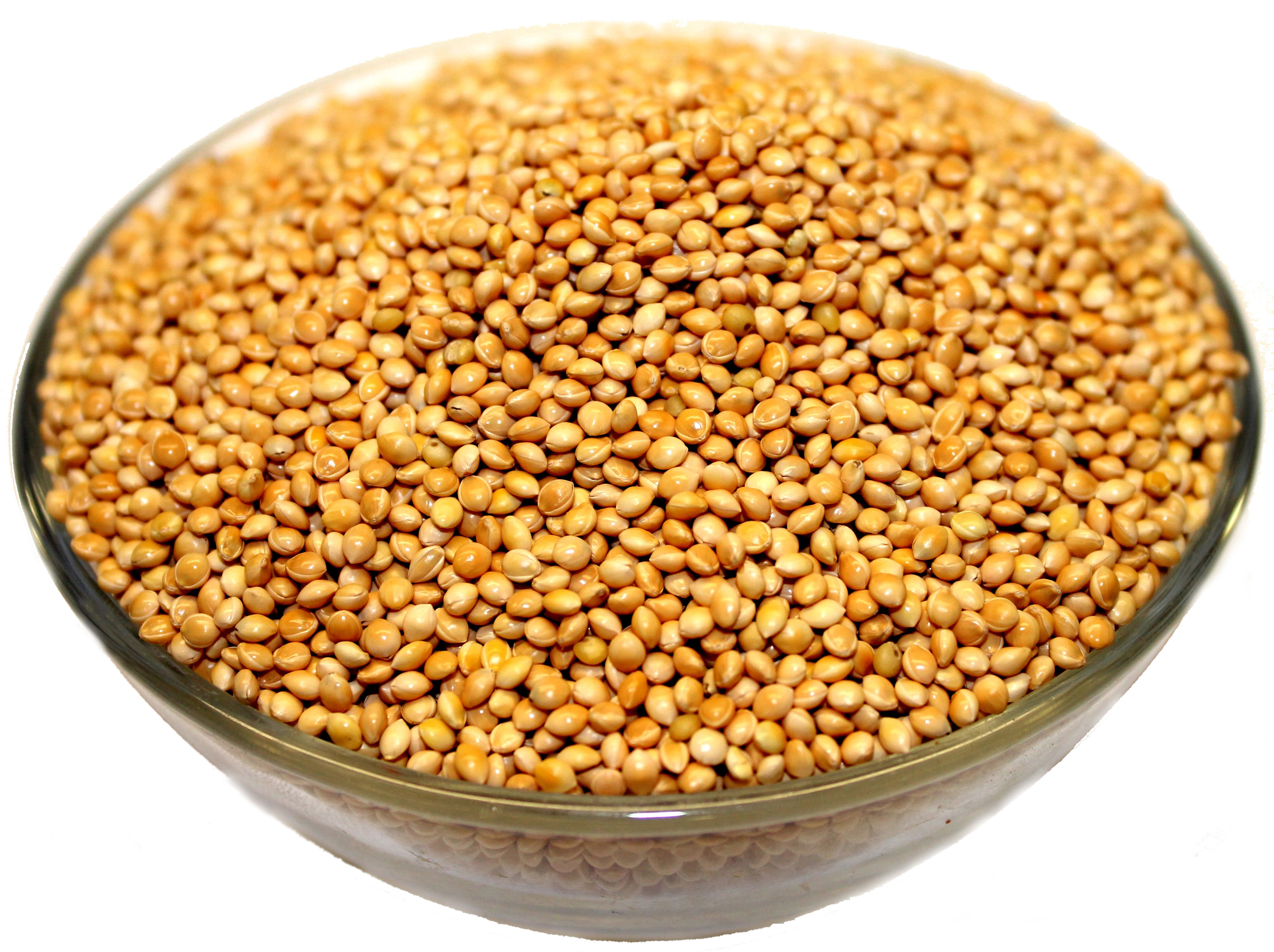 What Is Millet Seed Used For